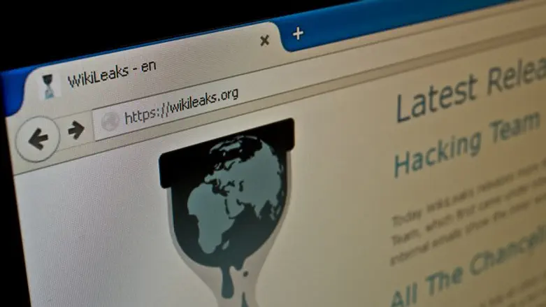 Wikileaks website