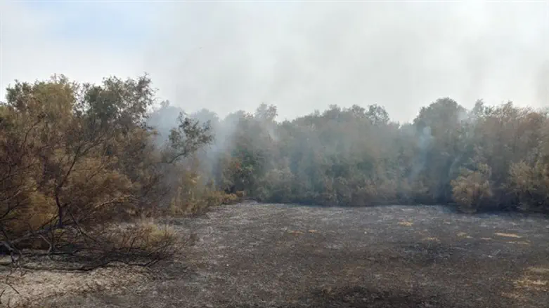 השריפה באשדוד