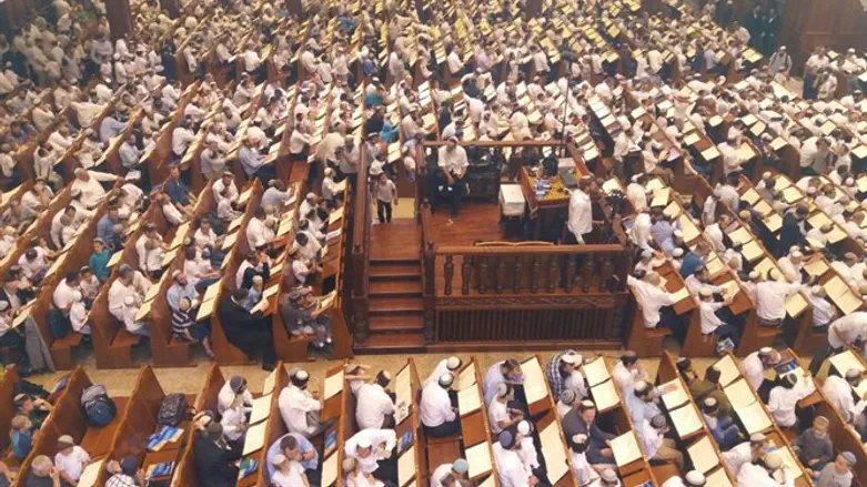 תלמידי תלמודי התורה הציוניים, באירוע היום