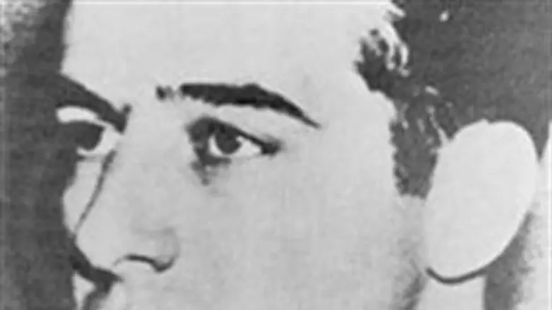 ראול וולנברג