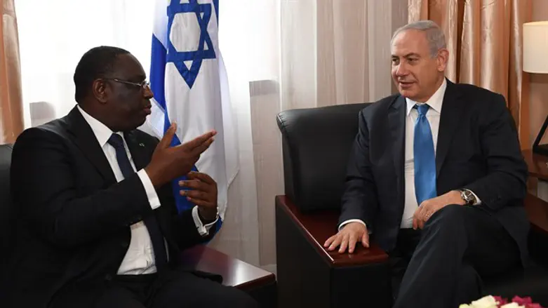 נתניהו וסאל