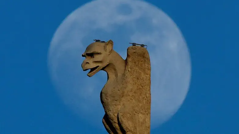  Gargoyle on the roof of Notre-Dame cathedral 
