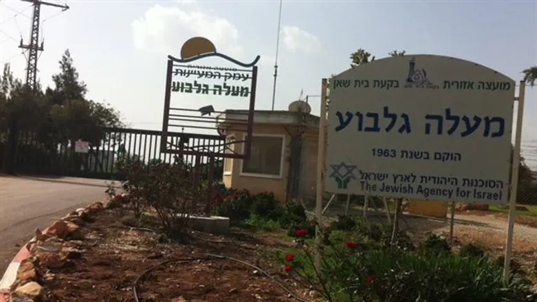 מעלה גלבוע