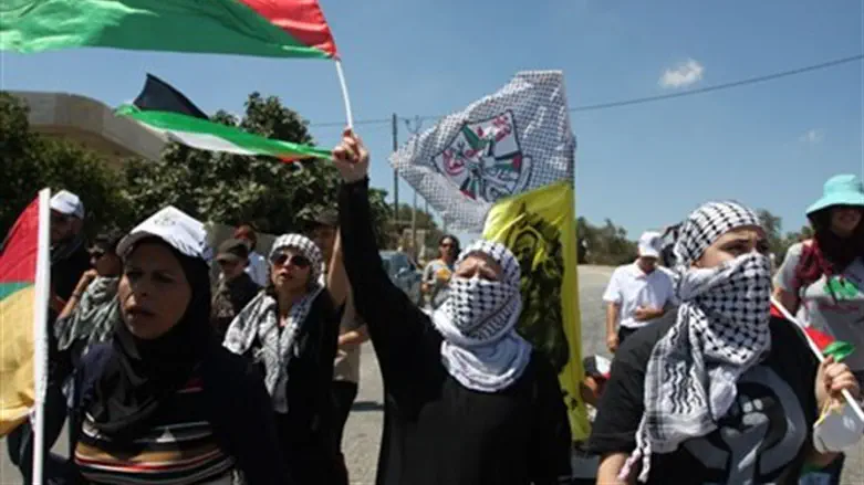 Anti-Israel protest (illustrative)