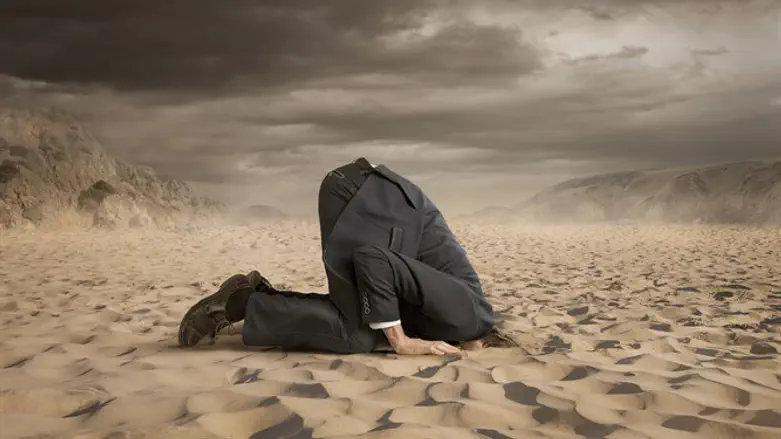 West's anti-radicalization posture