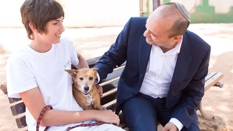 בנט בצער בעלי חיים