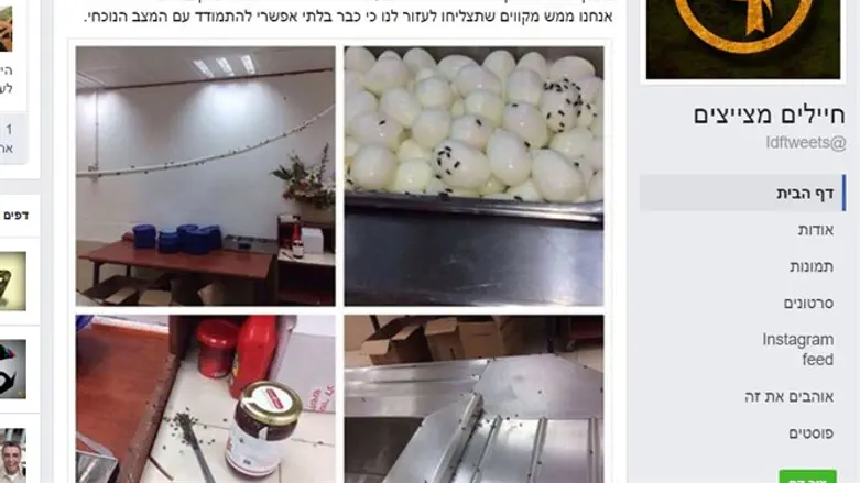 עזובה וזבובים בחדר האוכל