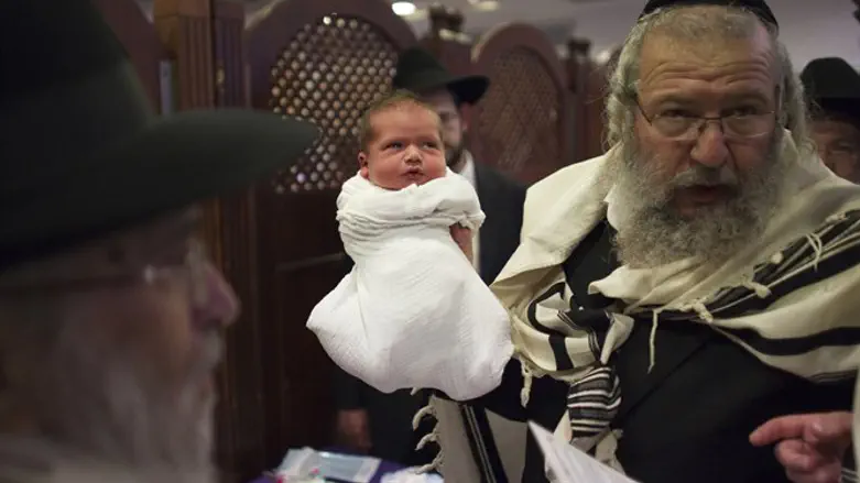 Rav Moshe Weisberg, Mohel