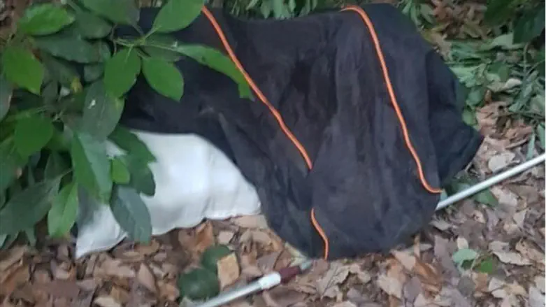 השקים המלאים שנתפסו