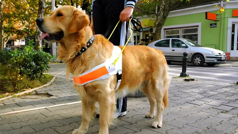 העימות באוטובוס - לבית המשפט