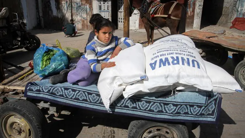 Perpetuating misery:  UN handout in Gaza