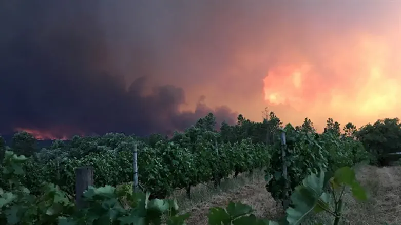 אילוסטרציה