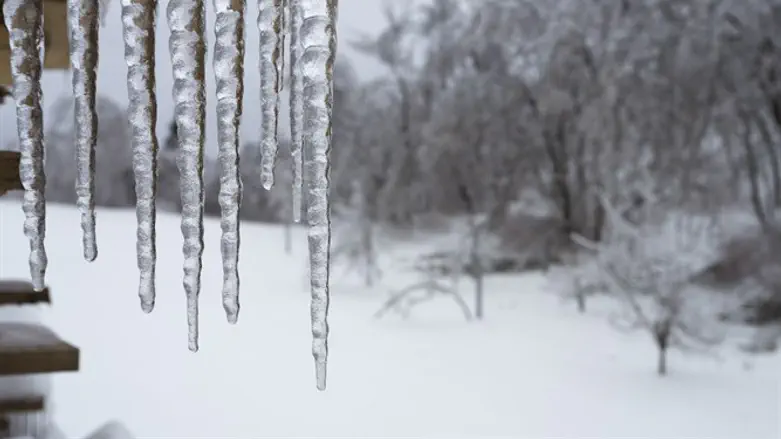 Freeze