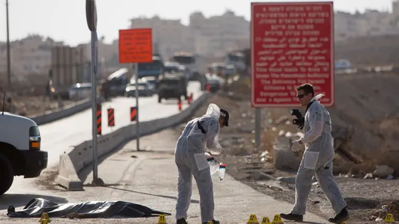 Similar incident, same place, 2015; Adam circle