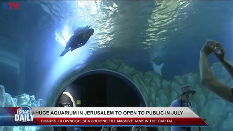 Huge aquarium to open in Jerusalem