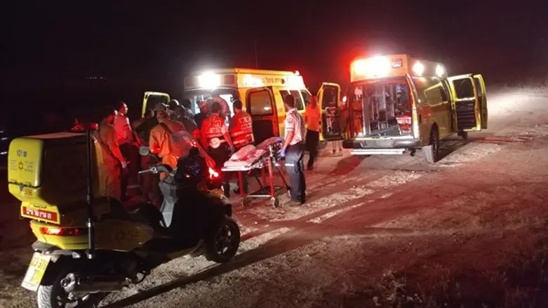 צעיר נרצח בקטטה ביער