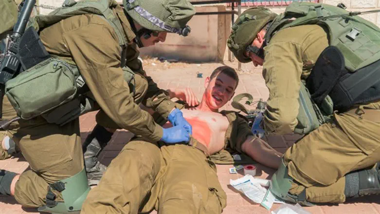 הכוחות בתרגיל