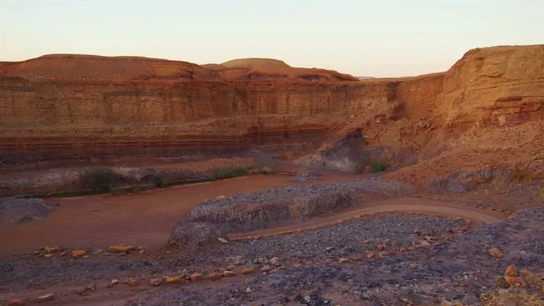 שמורות חדשות