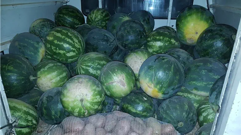 The stolen watermelons
