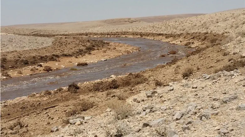 זרימת המים החומציים בנחל אשלים