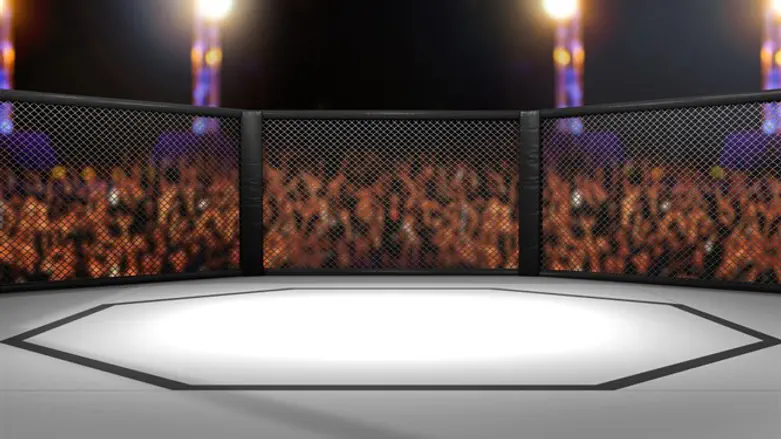 Mixed martial arts cage arena