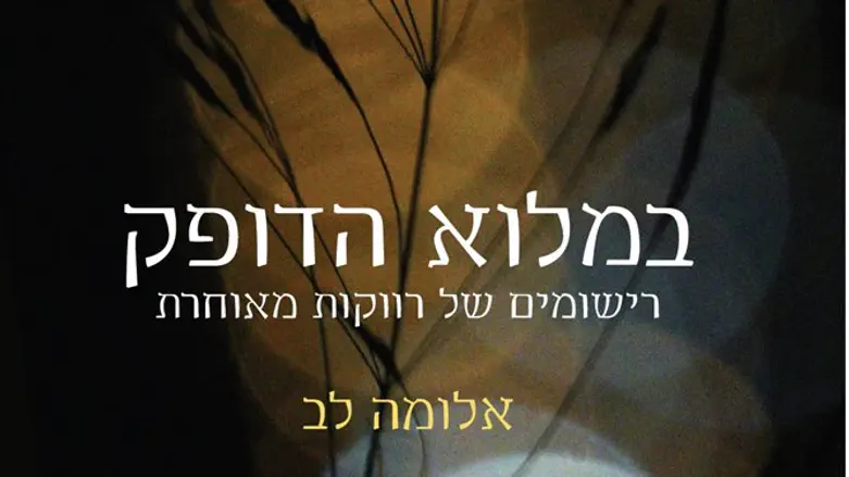 במלוא הדופק