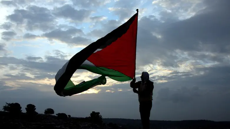 Arab land grab (illustration)
