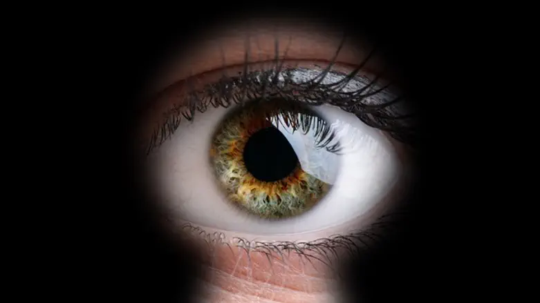 Big Sister is watching you