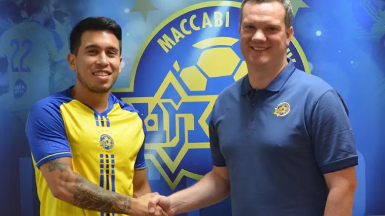 רכש איטלקי למכבי ת"א