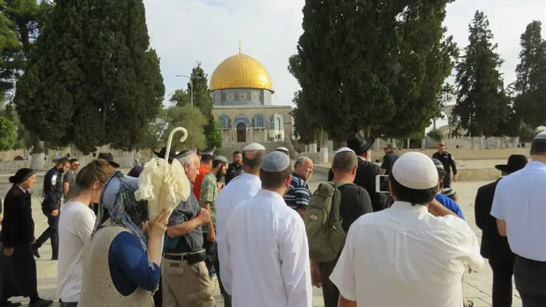 עלייה להר הבית בי"ז בתמוז. ארכין