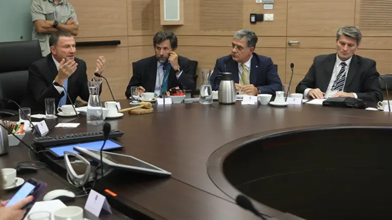 אדלשטיין עם נציגי האסיפה