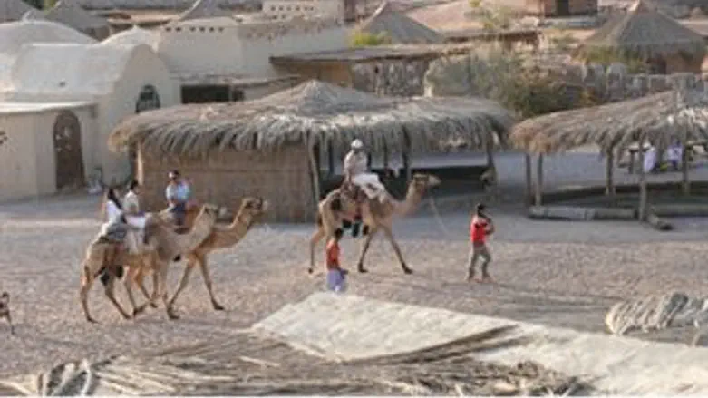 מתקשים להיפרד. ישראלים בסיני