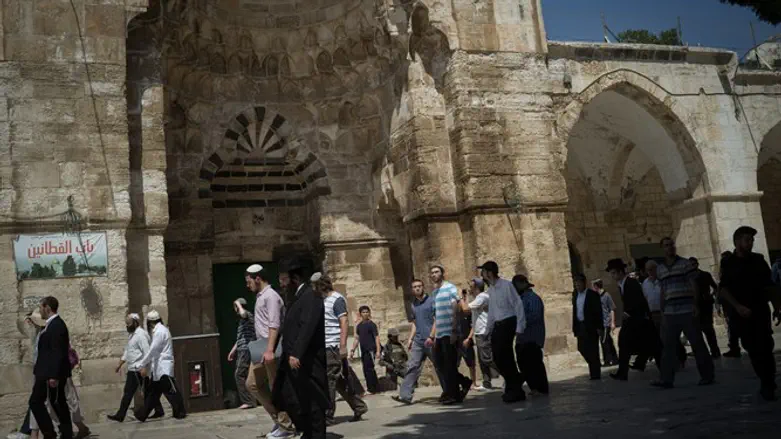 מבקרים יהודים בהר הבית