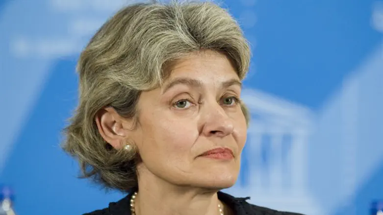 UNESCO Director-General Irina Bokova