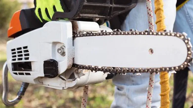 Chainsaw (illustration)