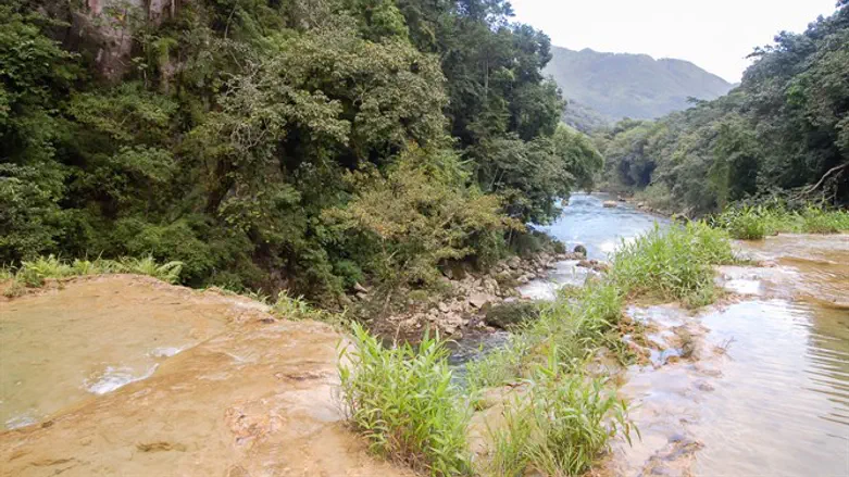 גואטמלה. ארכיון
