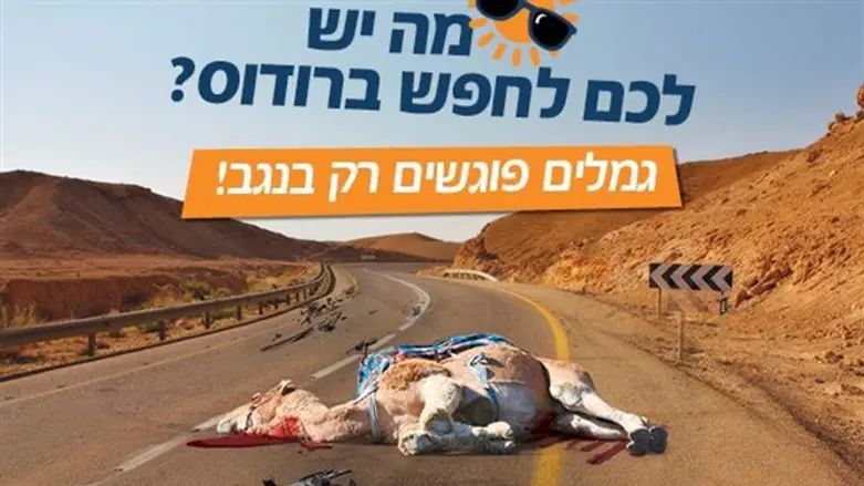 מודעה מתוך הקמפיין