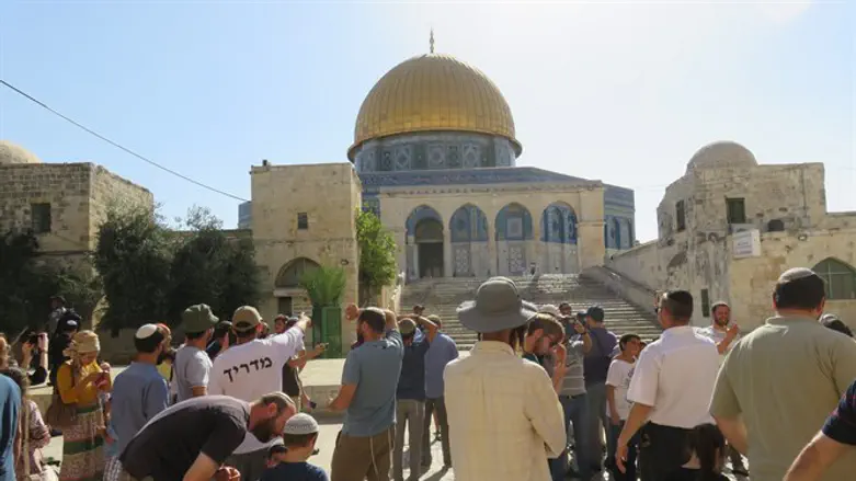 עלייה יהודית להר הבית. ארכיון
