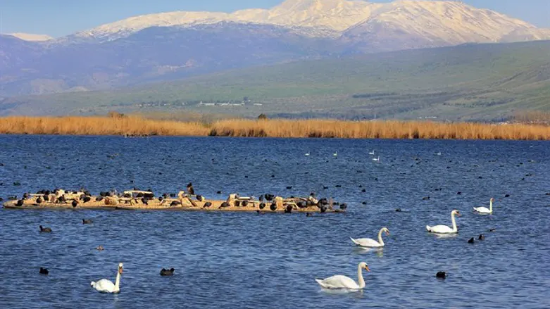 Hula Valley nature reserve