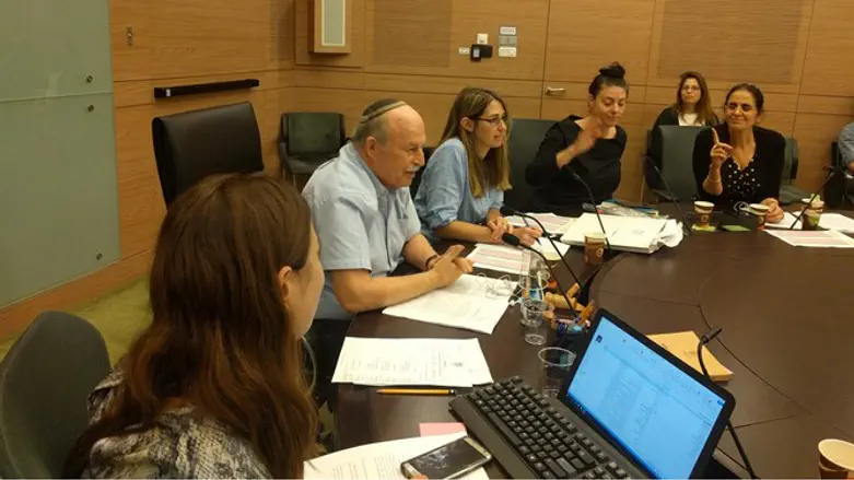 הדיון בוועדת החוקה, היום