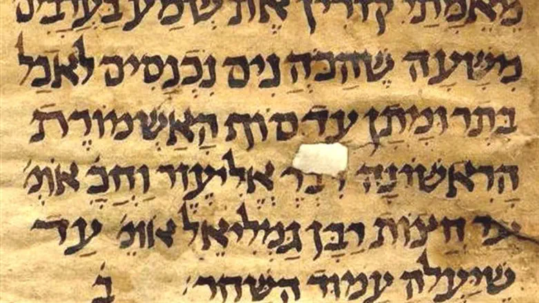 כתב יד קאופמן