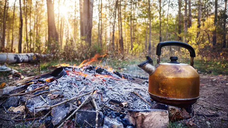 Summer camp (illustration)