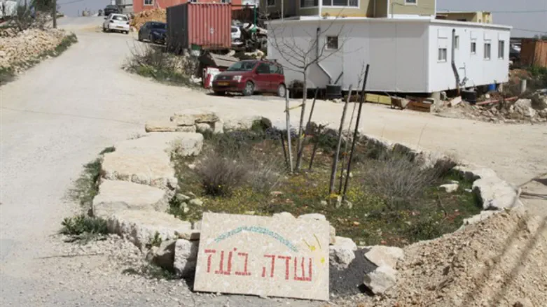 שדה בועז