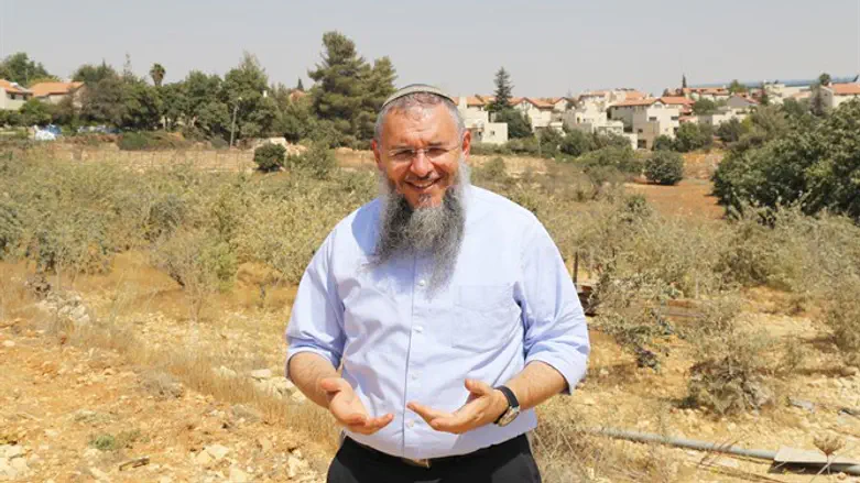 צעד חשוב, אך מצריך זהירות. נאמן