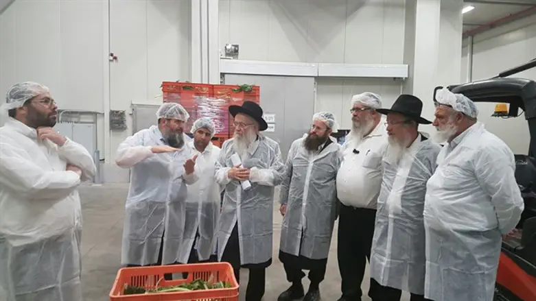 הרבנים בסיור במפעל חסלט