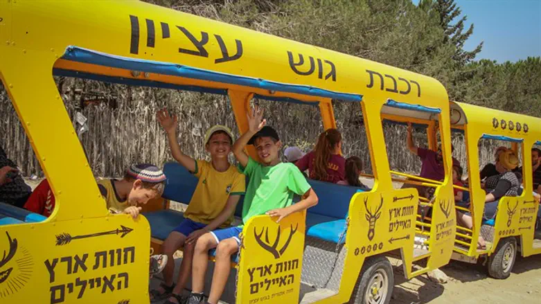 גוש עציון