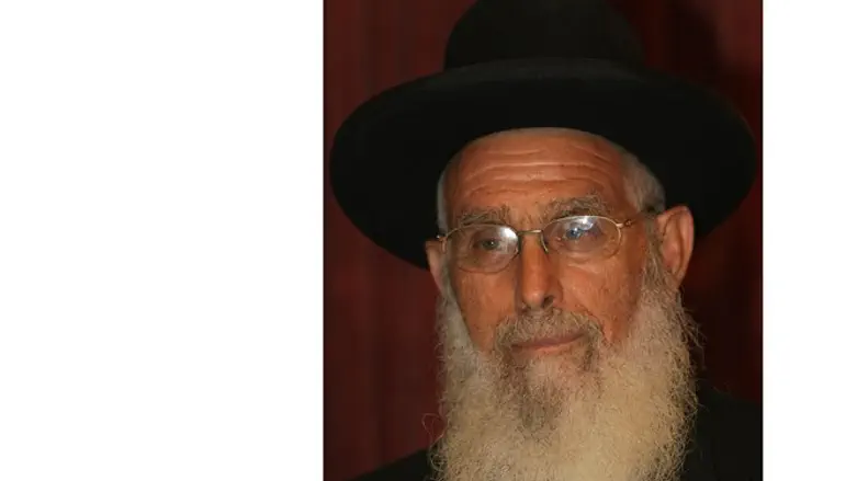 "הנפת דגל הגאווה לא תפתור את המצוקה". הרב יעקב אריאל