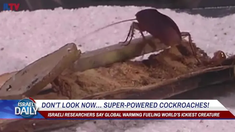 Super-powered cockroaches?