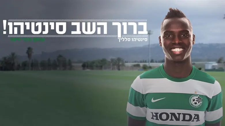 סלליך. חוזר הביתה