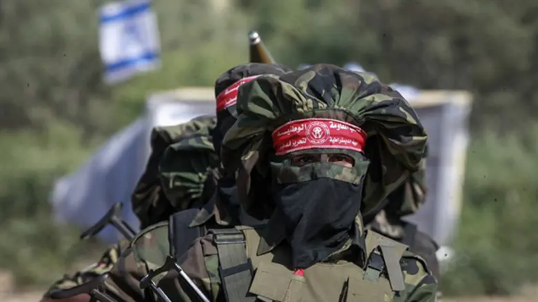 Боевик группировки ДФОП. Иллюстрация